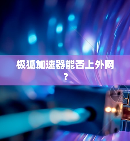 极狐加速器能否上外网？