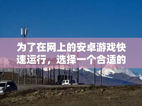 为了在网上的安卓游戏快速运行，选择一个合适的安卓加速器是非常重要的。以下是一些推荐的步骤和工具