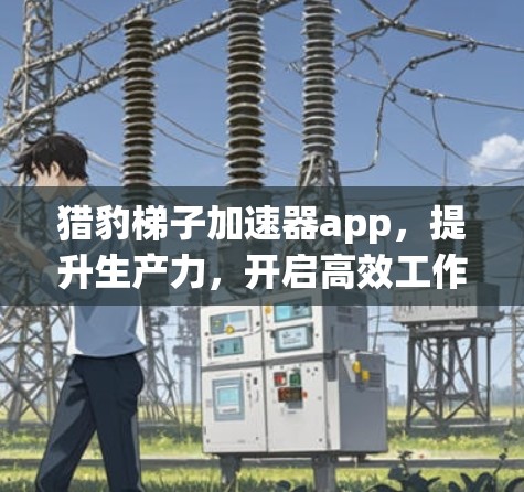 猎豹梯子加速器app，提升生产力，开启高效工作
