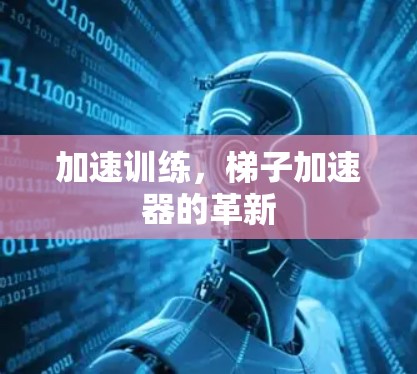 加速训练，梯子加速器的革新