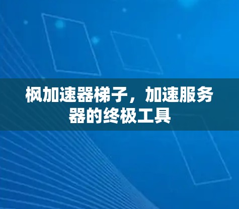 枫加速器梯子，加速服务器的终极工具