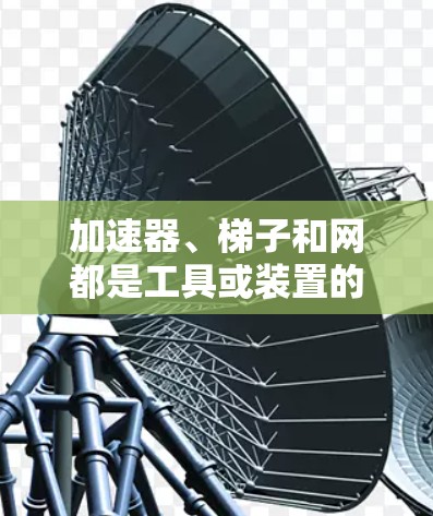 加速器、梯子和网都是工具或装置的名称，但它们在技术、领域、用途和发音上有所不同