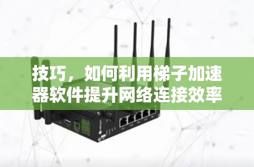 技巧，如何利用梯子加速器软件提升网络连接效率