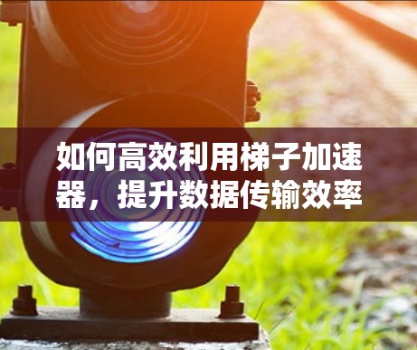 如何高效利用梯子加速器，提升数据传输效率的关键工具