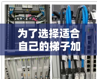 为了选择适合自己的梯子加速器，以下是一些详细的分析和建议