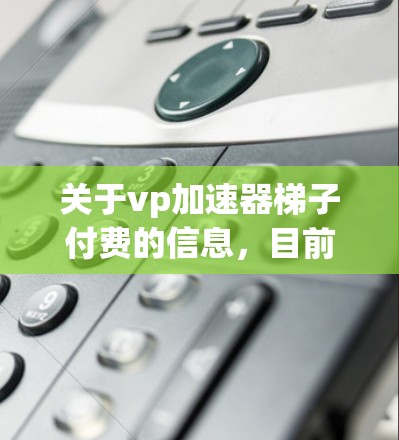 关于vp加速器梯子付费的信息，目前没有明确的定义和具体说明。可能vp加速器是指某种特定的加速工具或软件，而梯子可能是指其结构或插件。然而，由于缺乏详细信息，无法提供具体的解决方案或指导