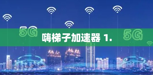 嗨梯子加速器 1.
