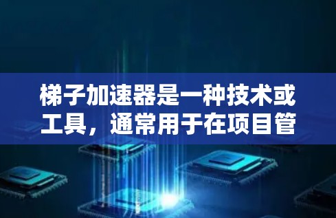 梯子加速器是一种技术或工具，通常用于在项目管理或项目开发中加速进度。它可能与代码生成、敏捷方法或项目分解有关。以下是对梯子加速器的详细说明
