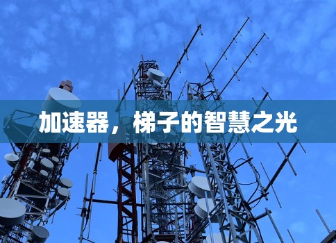 加速器，梯子的智慧之光