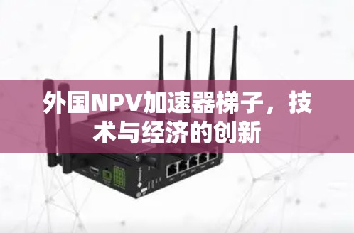 外国NPV加速器梯子,技术与经济的创新 外国NPV加速器梯子,技术与经济的创新