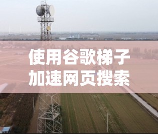 使用谷歌梯子加速网页搜索需要遵循以下步骤，结合以上思考