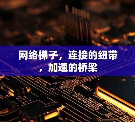 网络梯子，连接的纽带，加速的桥梁