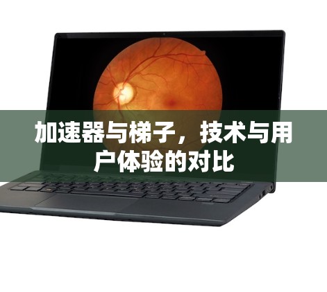 加速器与梯子，技术与用户体验的对比
