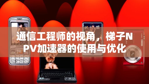 通信工程师的视角，梯子NPV加速器的使用与优化