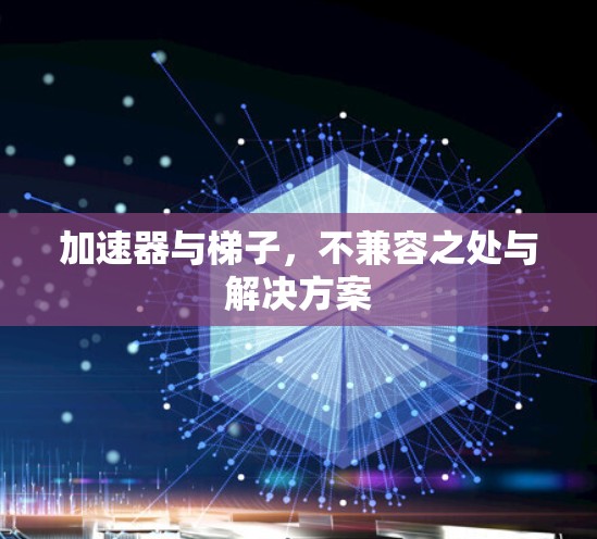 加速器与梯子，不兼容之处与解决方案