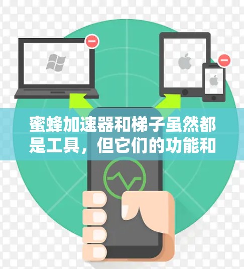 蜜蜂加速器和梯子虽然都是工具，但它们的功能和用途在物理、机械结构、材料特性以及功能上有所不同。以下是对两者功能和用途的分析