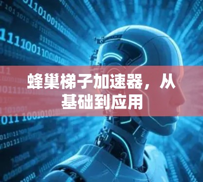 蜂巢梯子加速器，从基础到应用