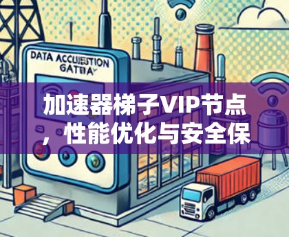 加速器梯子VIP节点，性能优化与安全保障