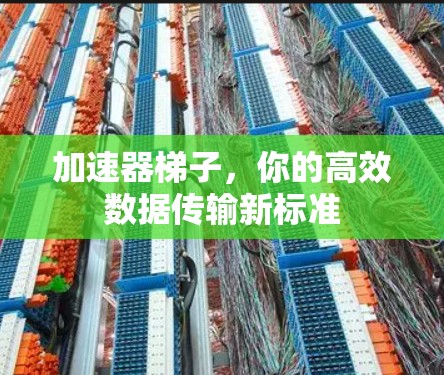 加速器梯子，你的高效数据传输新标准