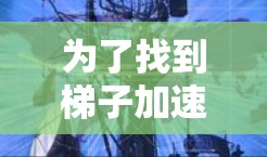 为了找到梯子加速器的官网，可以按照以下步骤进行