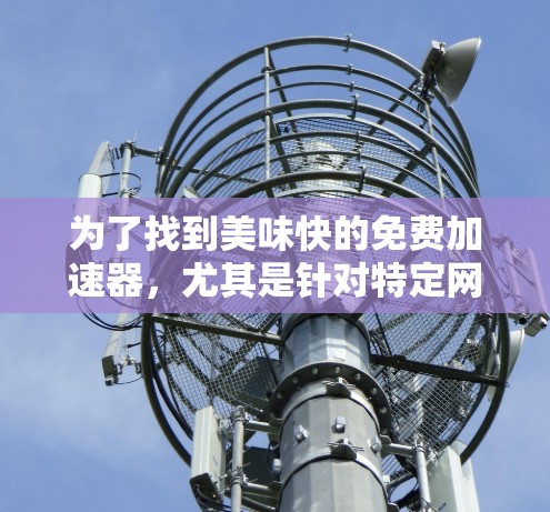 为了找到美味快的免费加速器，尤其是针对特定网站如光明网的使用，以下是一些推荐方案