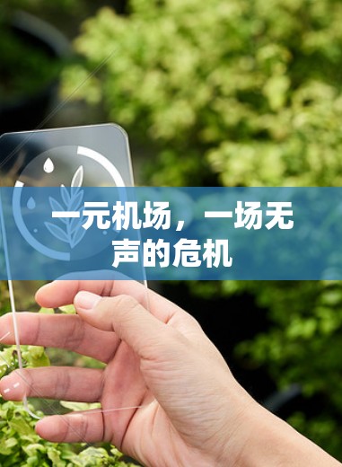 一元机场，一场无声的危机