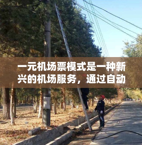 一元机场票模式是一种新兴的机场服务，通过自动扫描和支付系统，使一元票能覆盖多个机场，显著提高了效率。以下是对该模式的详细分析和建议