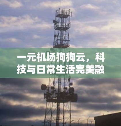 一元机场狗狗云，科技与日常生活完美融合