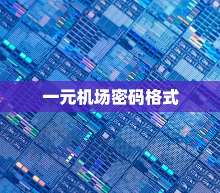 一元机场密码格式
