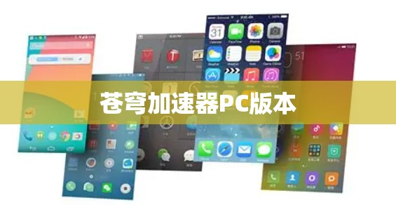 苍穹加速器PC版本