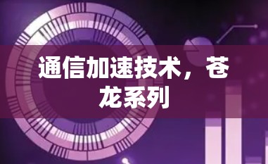 通信加速技术，苍龙系列