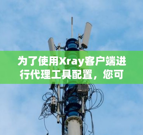 为了使用Xray客户端进行代理工具配置，您可以按照以下步骤进行操作