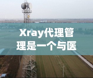 Xray代理管理是一个与医疗影像数据处理相关的系统，通过Xray平台管理X光、CT scan等数据的代理服务。以下是详细的Xray代理管理步骤和流程
