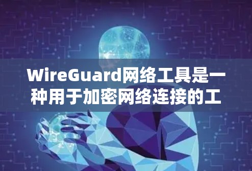 WireGuard网络工具是一种用于加密网络连接的工具，主要包括以下几个部分