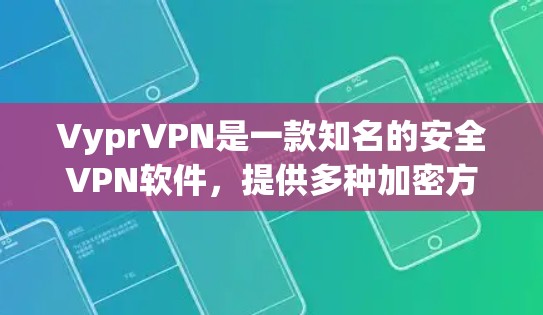 VyprVPN是一款知名的安全VPN软件，提供多种加密方式和流畅的用户体验。以下是使用VyprVPN的指南
