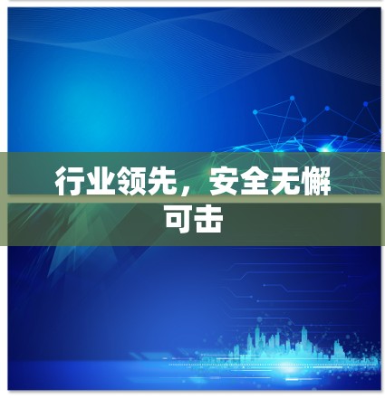 行业领先，安全无懈可击