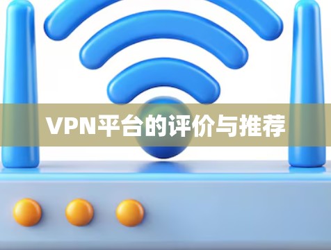 VPN平台的评价与推荐