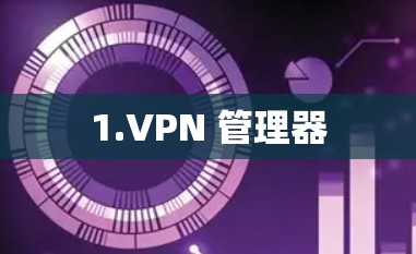 1.VPN 管理器 1.VPN 管理器