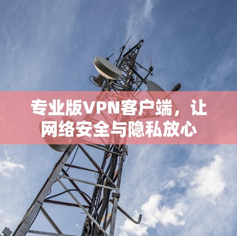 专业版VPN客户端,让网络安全与隐私放心 专业版VPN客户端,让网络安全与隐私放心