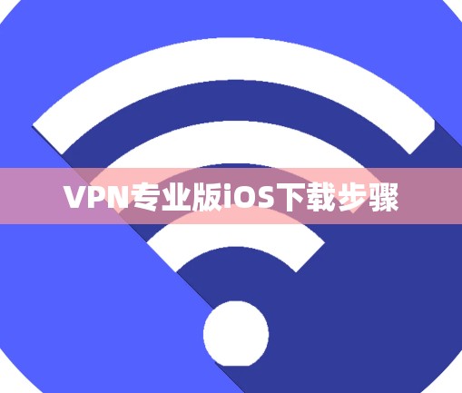 VPN专业版iOS下载步骤 VPN专业版iOS下载步骤