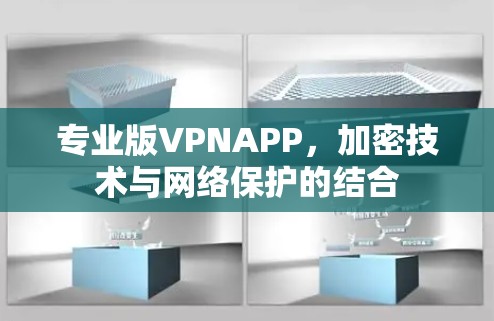 专业版VPNAPP,加密技术与网络保护的结合 专业版VPNAPP,加密技术与网络保护的结合