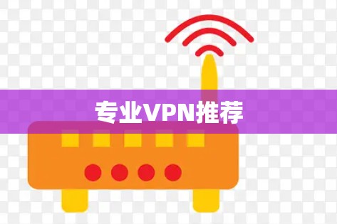专业VPN推荐 专业VPN推荐