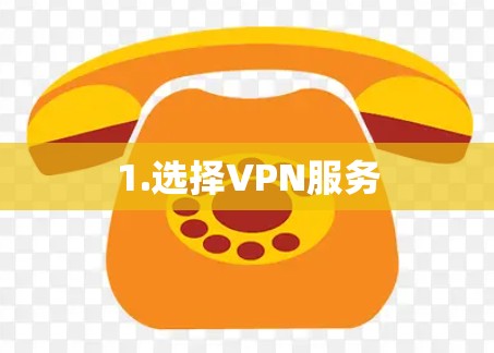 1.选择VPN服务 1.选择VPN服务
