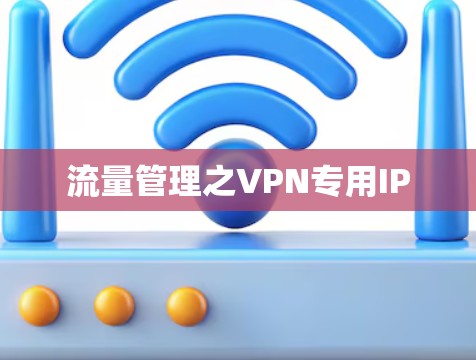 流量管理之VPN专用IP 流量管理之VPN专用IP