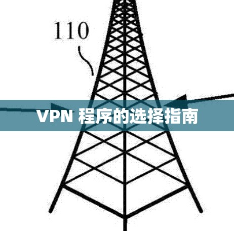 VPN 程序的选择指南