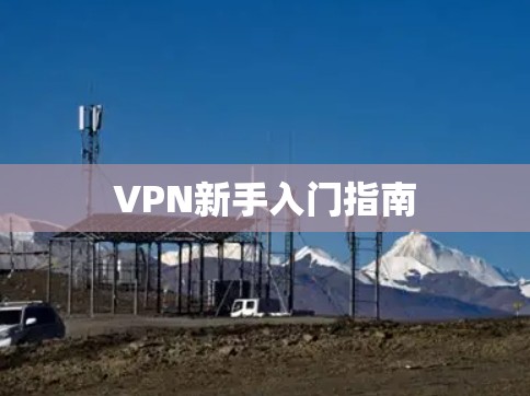 VPN新手入门指南