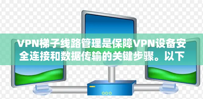 VPN梯子线路管理是保障VPN设备安全连接和数据传输的关键步骤。以下是详细的步骤指南