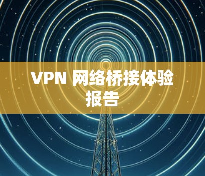VPN 网络桥接体验报告 VPN 网络桥接体验报告