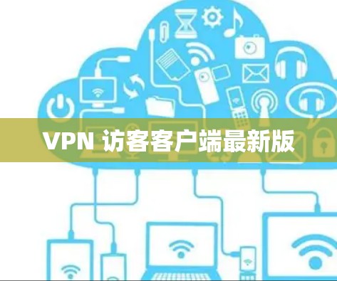 VPN 访客客户端最新版