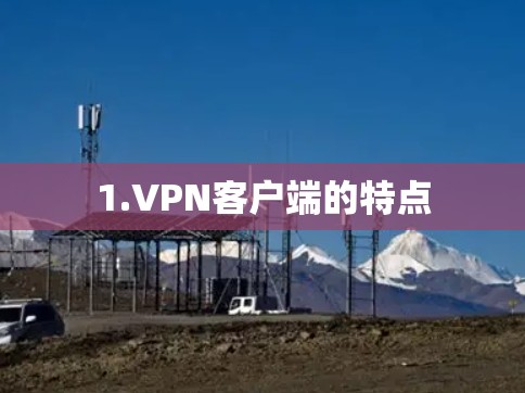 1.VPN客户端的特点 1.VPN客户端的特点